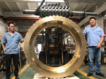 Large mining worm gears